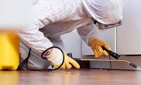 Best Termite Inspection and Treatment  in Peoria, IL